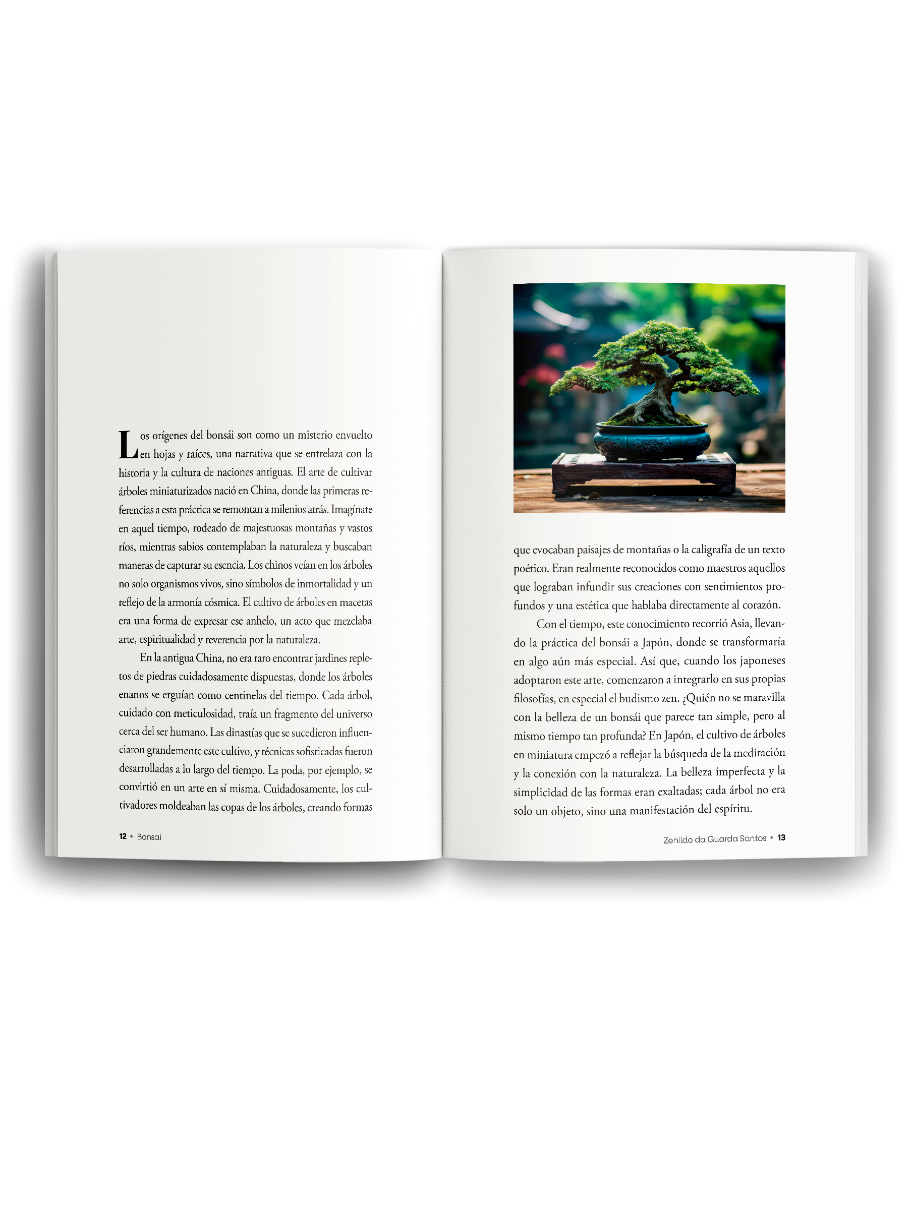 mockup-livro-aberto-1--espanhol