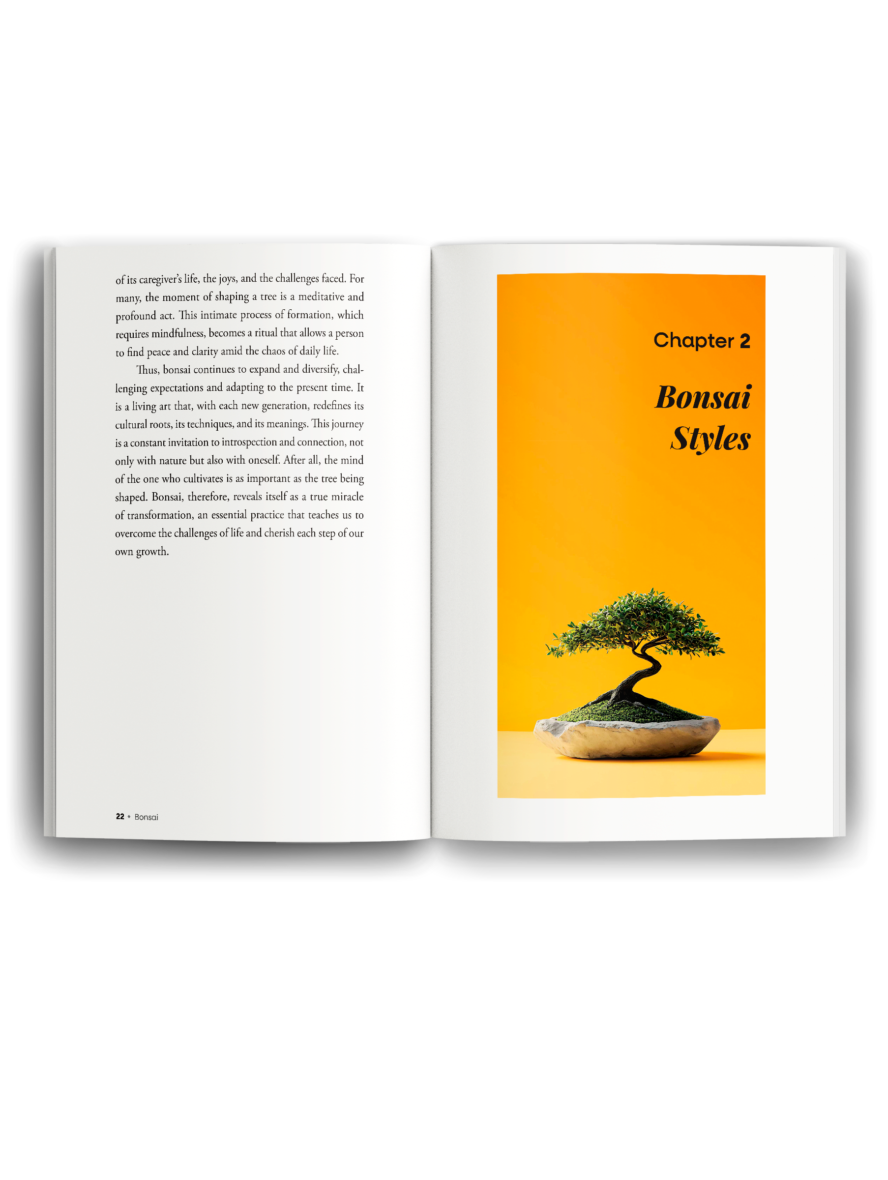 mockup-livro-aberto-1-ingles