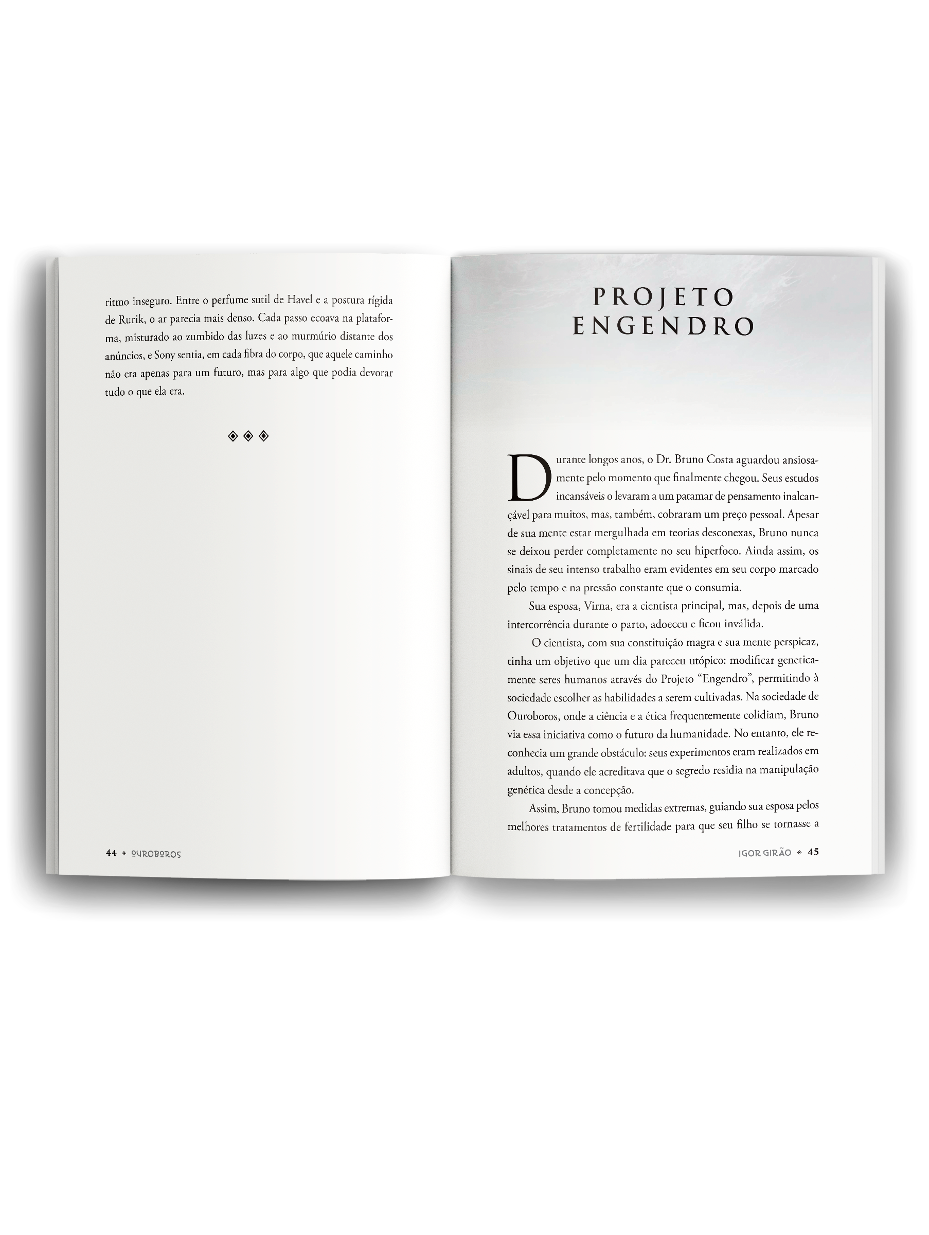 mockup-livro-aberto-2
