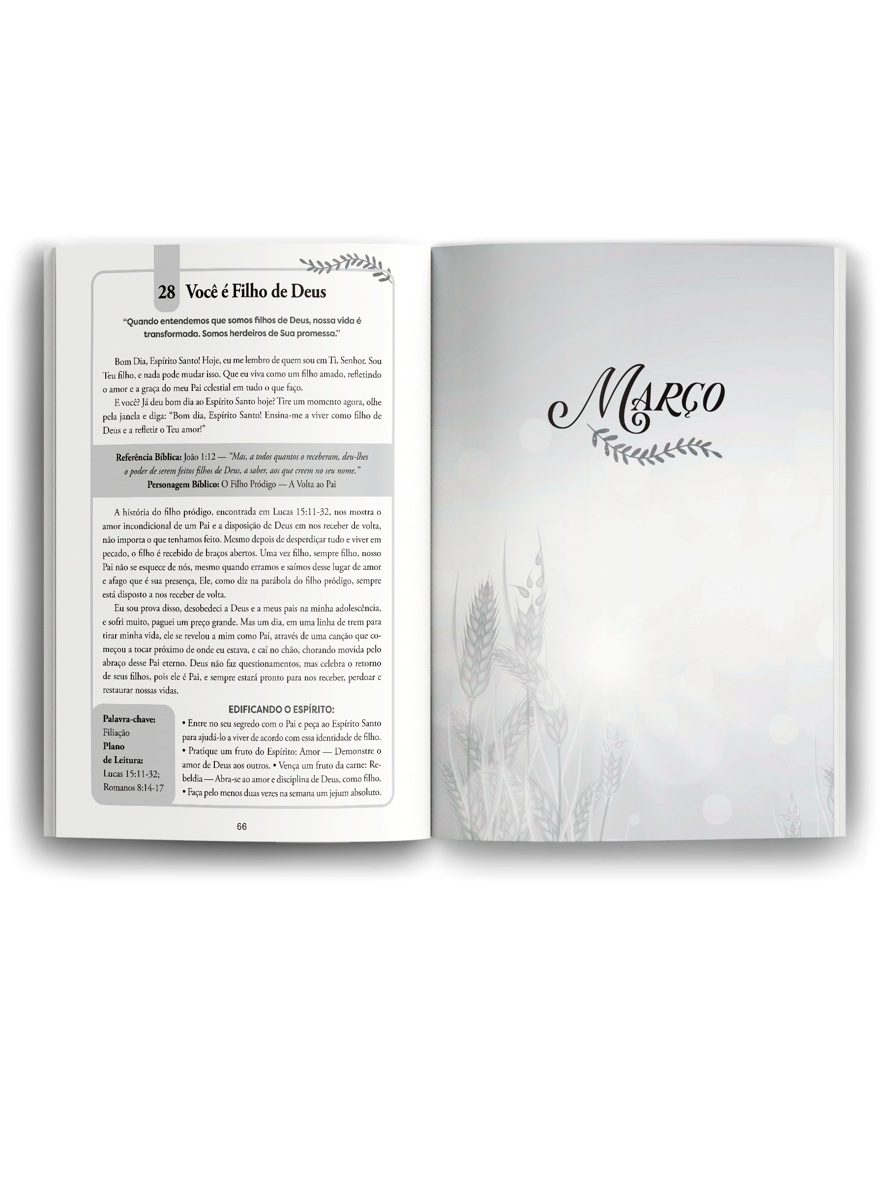 mockup-livro-aberto-2