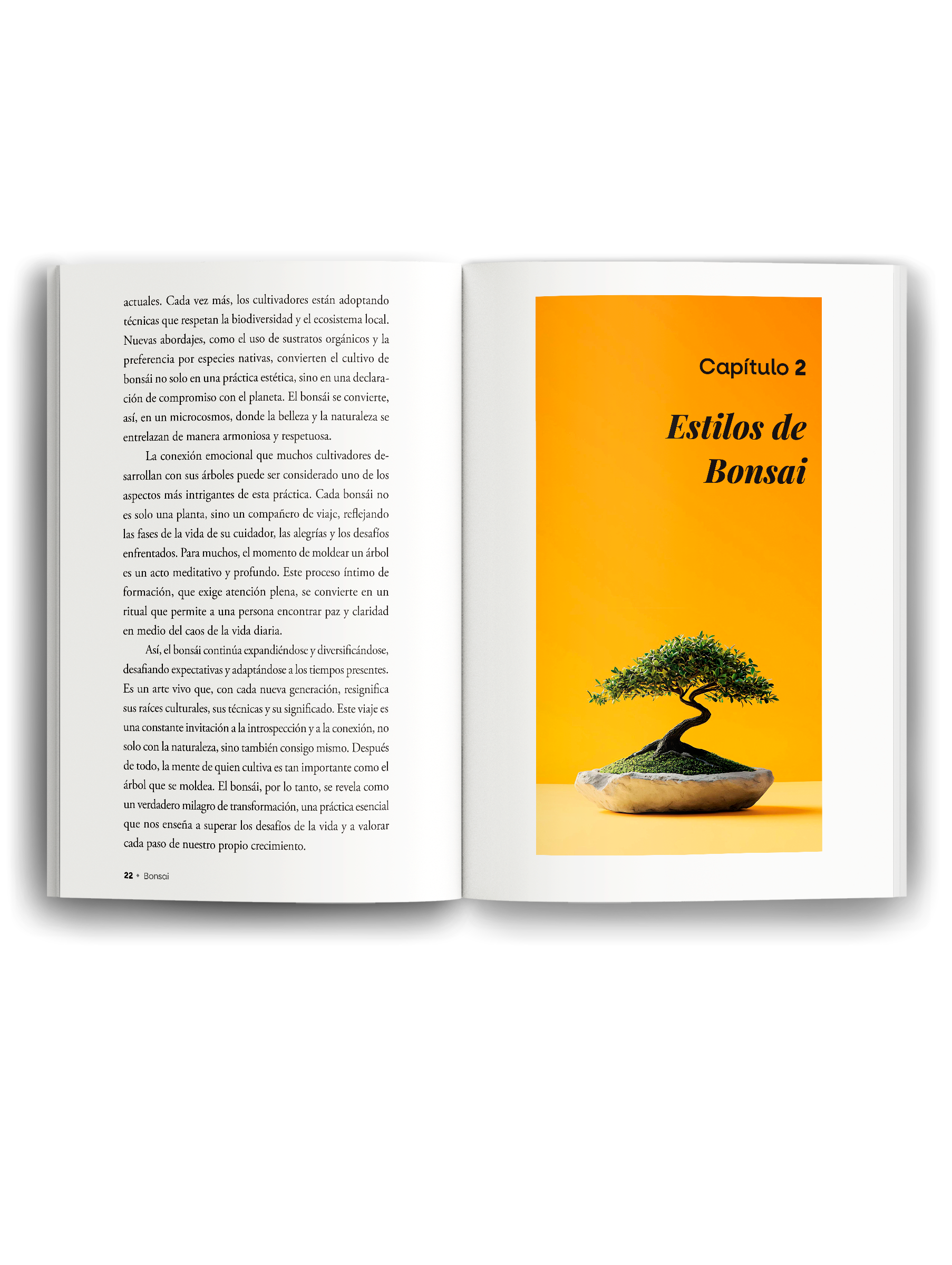 mockup-livro-aberto-2-espanhol