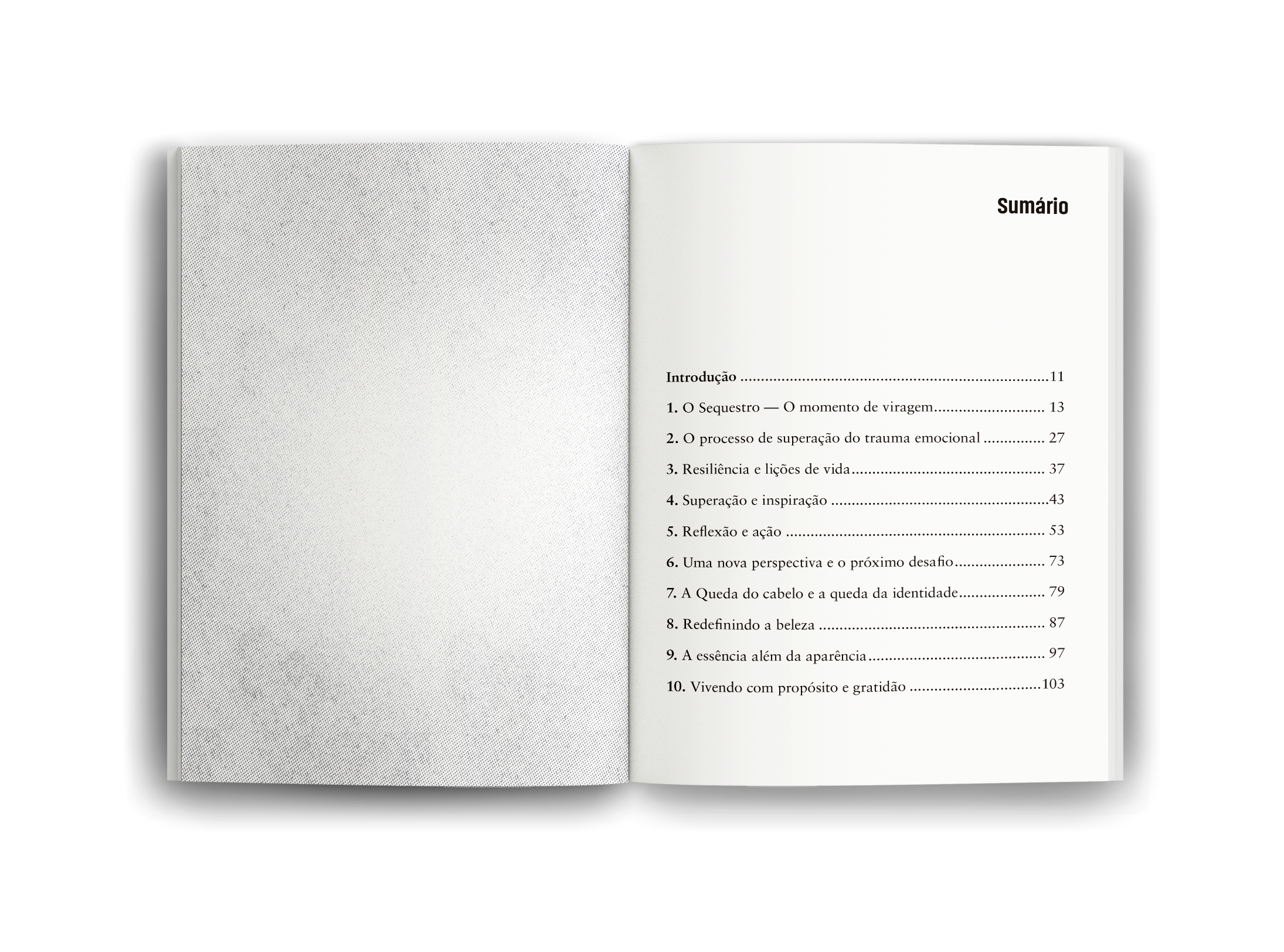 LIVRO-ABERTO-ALÉM DO QUE FOI PERDIDO