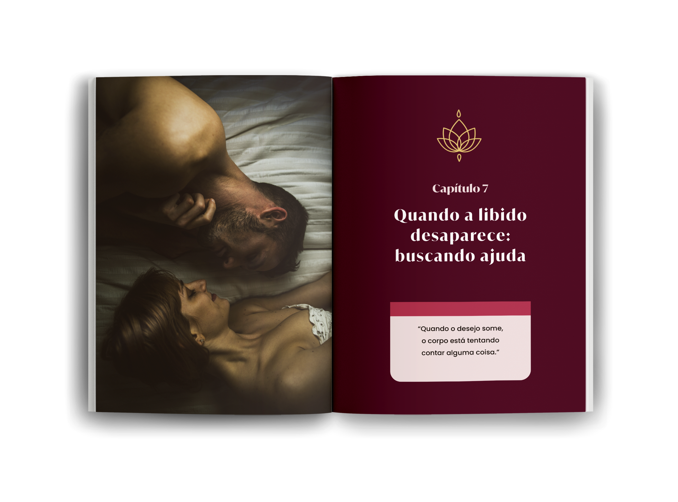 LIVRO-O GUIA PRATICO-ABERTO2