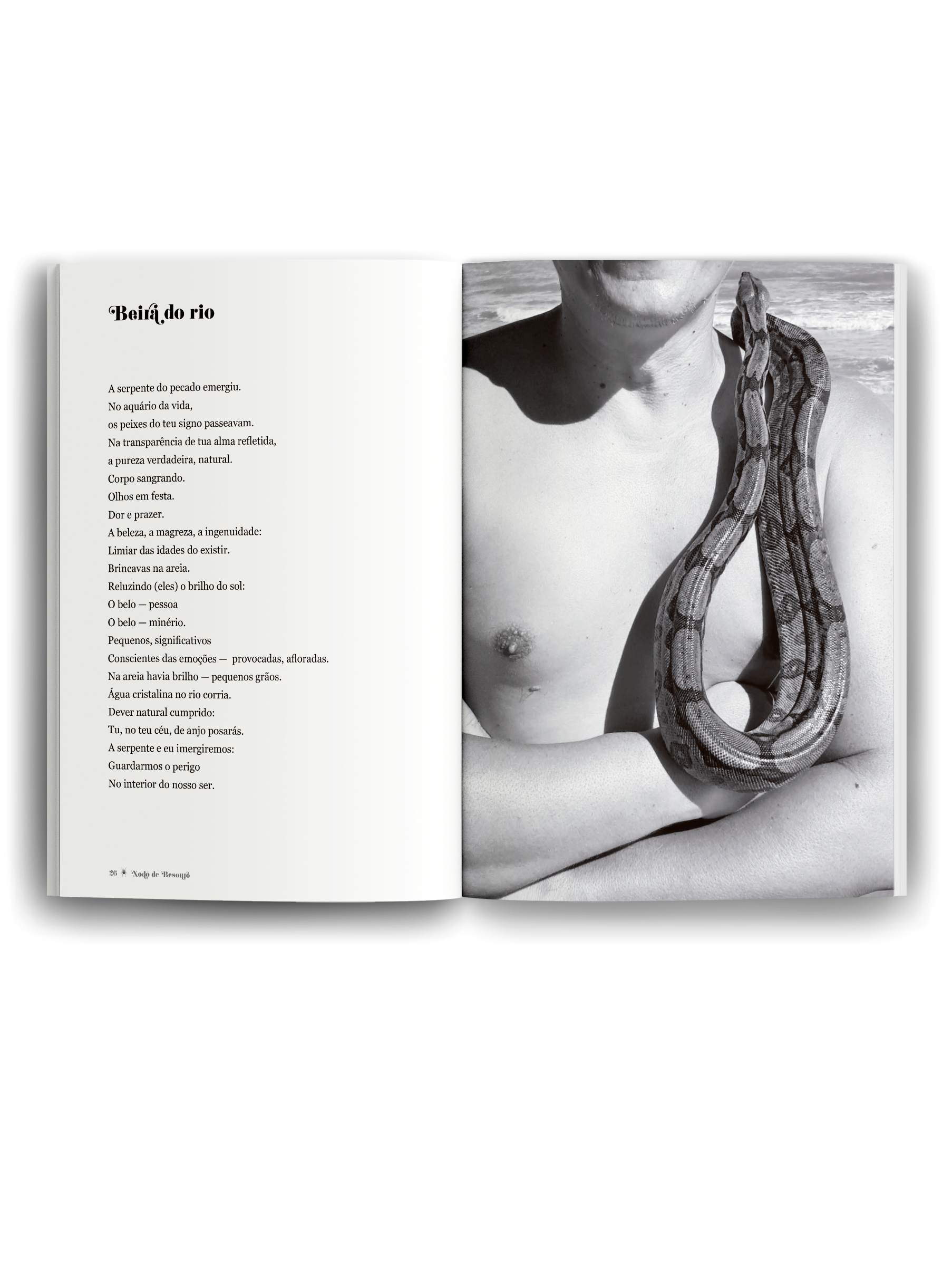 mockup-livro-aberto-1