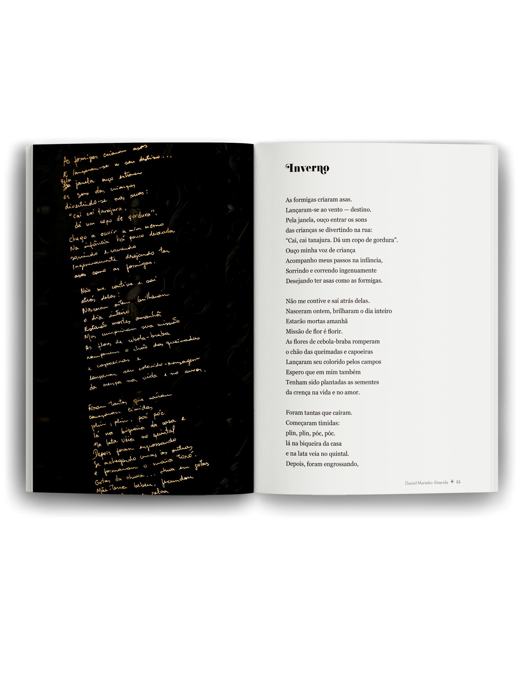mockup-livro-aberto-2