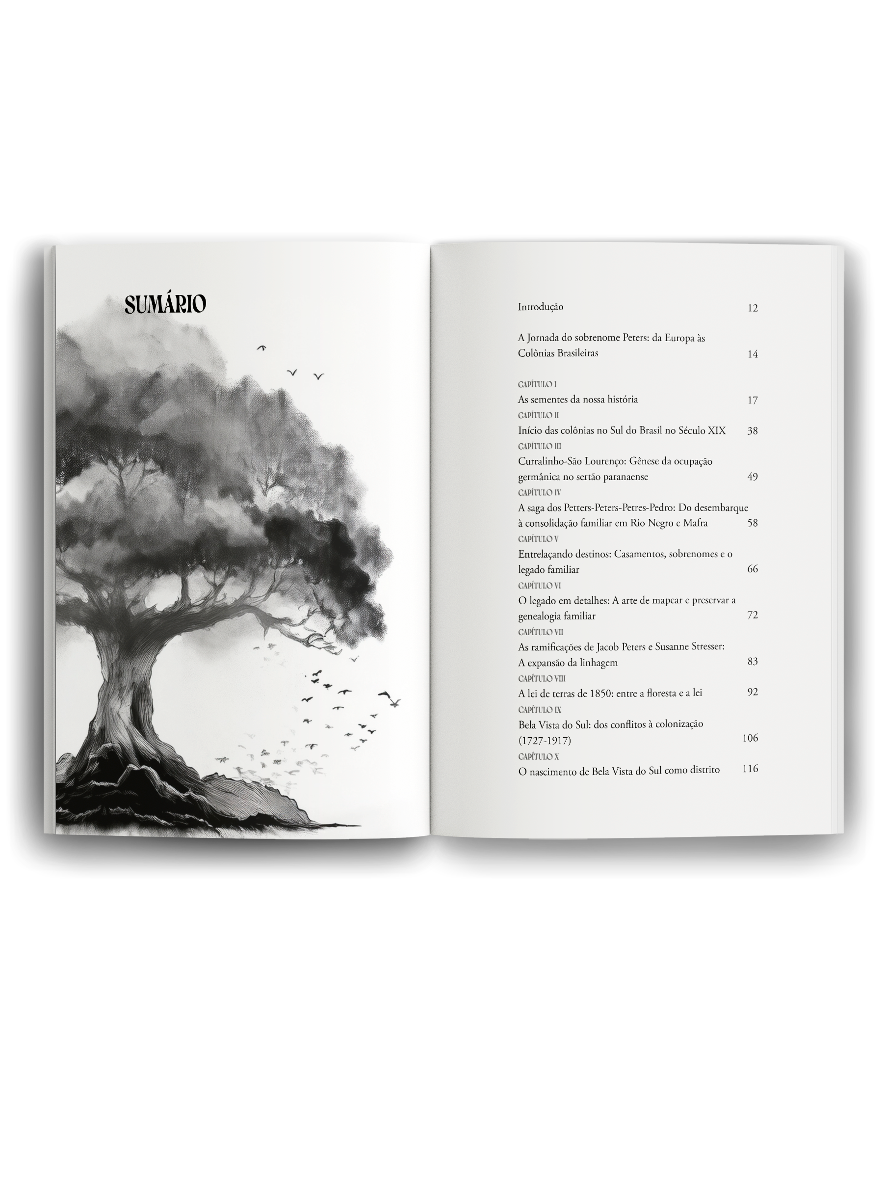 mockup-livro-aberto-2