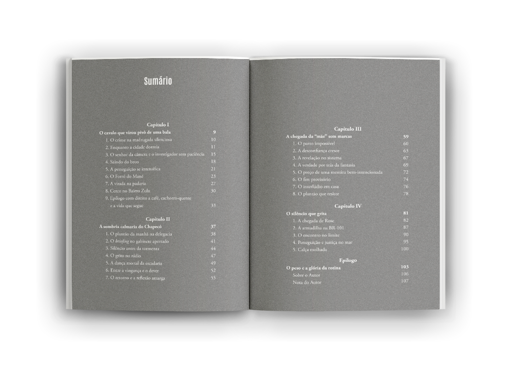 LIVRO-ABERTO-CRONICAS